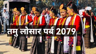 तमु लोसार पर्ब टुडिखेल काठमाडौमा l Tamu Losar 2079 l Gurung Cultural l International Tamu Culture [upl. by Niamart]