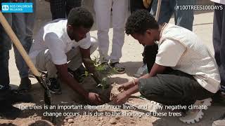 100 Trees in 100 Days  Leave No Youth Behind Program  Somaliland [upl. by Nnyled]