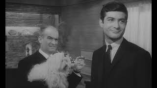 Louis De FunèsJean Claude Brialy  Carambolages 1963 [upl. by Mccready]