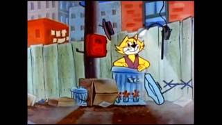 Top Cat Opening HD [upl. by Wadesworth]