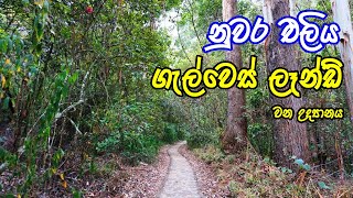 Galways Land National Park  ගල්වේස් ලෑන්ඩ් ජාතික උද්‍යානය [upl. by Germana393]