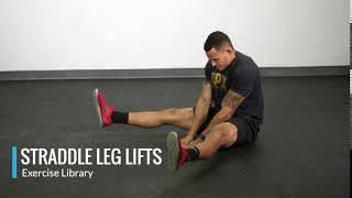 Straddle Leg Lifts  OPEX Exercise Library [upl. by Noj396]