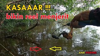 CARA MANCING IKAN KELABAU [upl. by Ohnuj]