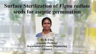 Surface Sterilization of Vigna radiata seeds  Dr B Usha  Genetic Engineering  SRM [upl. by Ardnaek]