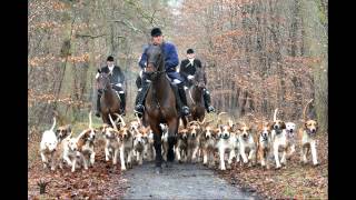 Vénerie en foret de Compiègne 20142015 [upl. by Gayel487]