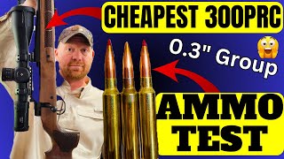 Ammo Testing the Cheapest 300 PRC You Can Buy [upl. by Eseeryt]