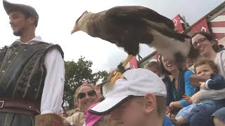 Quand la fauconnerie du Puy du Fou assombrit le ciel [upl. by Athalla327]