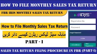 How to File Monthly Sales Tax Return in Pakistan 2024 PartI I Sales Tax Return Filing Process [upl. by Sinclare]