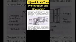 Phototropism and Geotropism ujjawalstudyzone motivation cbse [upl. by Elodia]