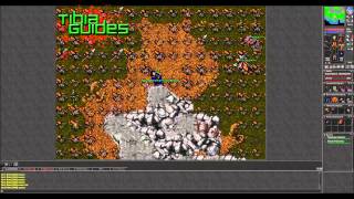 Tibia  Oramond Minotaurs MS Hunting Tutorial [upl. by Helbonnah]