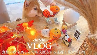 お久しぶりです🌷ハロウィンと冬支度🎃☃️新しい加湿器紹介♨️🫧お庭BBQなど🐟🍖half week vlog [upl. by Alexandria]