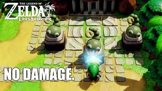 NO DAMAGE DUNGEON RUN  The Legend of Zelda Links Awakening [upl. by Nunnery]