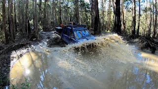 Adventure Kings Anglesea Bog Holes Great Ocean Road [upl. by Theodoric608]