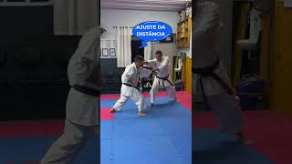 DEAI  O Tempo Ideal  BDK  Karate Gabriche karate [upl. by Mendie]