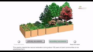 Ecological succession [upl. by Dickie]