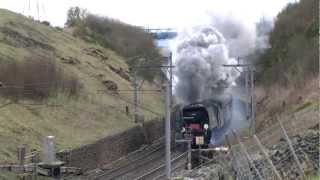 SR 34067 Tangmere Slips on Shap hauling the Cumbrian Mountain Express 12412 [upl. by Garretson]