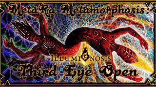 MetaTool MetaRa Metamorphosis with Visual Art by Alex Grey Adam Jones and Others [upl. by Katherine]