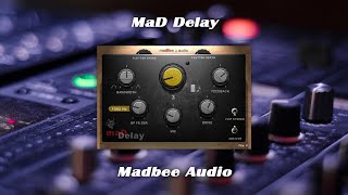 Delay VST by MadbeeAudio  VST free  Guitar test [upl. by Nyraa282]