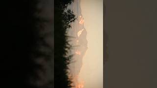 Breathtaking View of Kanchenjungha from Tumling during Sunrise travel explore [upl. by Brock]