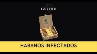 Habanos Infectados con el escarabajo del tabaco [upl. by Coady]