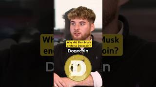 Would you invest in Dogecoin dogecoin crypto cryptocurrency cryptonews cryptotrading elonmusk [upl. by Maurits820]