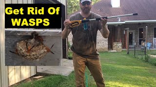 Never Buy WASP Spray again  Eliminate WASP Nests Fast [upl. by Michail]