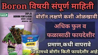 boron fertilizer boron 20 बोरॉन पिकांना फायदेशीरboron boronfertilizer boron कधी द्यावे [upl. by Skyla11]