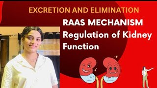 RAAS Mechanism  Excretion amp Elimination  JGA  ANF  Regulation of Kidney Function  CBSE 11 Board [upl. by Goodill691]