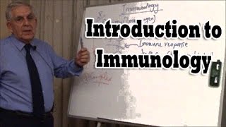 Introduction to Immunology [upl. by Lenes250]