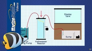 How to Use a Kalkwasser Reactor to Maintain Calcium amp Alkalinity [upl. by Ferde912]