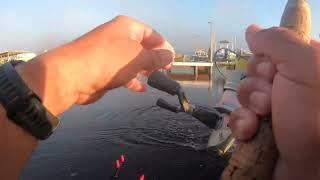 3 man limit of speckled trout Sneads Ferry North Carolina [upl. by Enilorac]