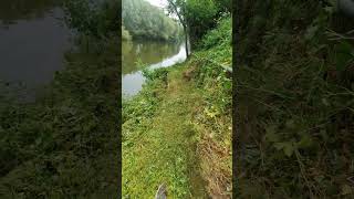 Work Party  River Wye Fownhope 4  11th June 2023 [upl. by Shanney327]