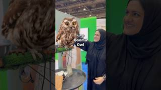 What does the owl symbolize in the Arab culture [upl. by Michale]