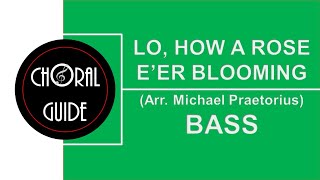 Lo How a Rose Eer Blooming  BASS [upl. by Ilecara]