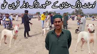 kohat dog mandi k mashor delar kohat dog market [upl. by Namhar]