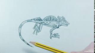 ✔ How to DRAW a PLUMED BASILISK ㋛ REPTILES 09 ✏ Como dibujar un BASILISCO DOBLE CRESTA [upl. by Eenyaj]