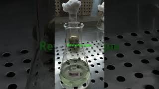 Reviving cyanobacteria science satisfying [upl. by Goulder448]