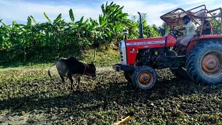 Massey Ferguson  Die Erfolgsgeschichte TRAKTOR Weltunternehmen Landwirtschaft Dokumentation [upl. by Leehar]