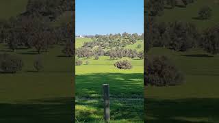 Remembering The Hollies and checking out a lush green field in Australias Wintertime [upl. by Lesslie]