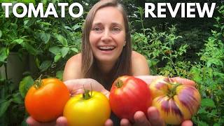 The Best Tomato Varieties  A Review of my 2024 Heirloom Cherry amp Hybrid Varieties [upl. by Felt]