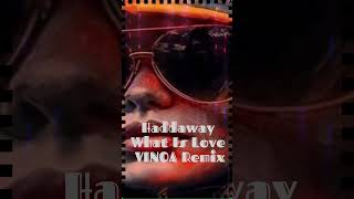 Haddaway What Is Love VINOA Remix [upl. by Amahs]