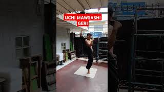 Uchi Mawashi Geri or inside Roundhouse Kick karatetechniques martialarts [upl. by Acemahs825]