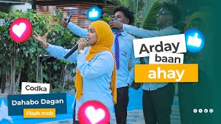 Heesta Arday Baan Ahay  Dahabo Dagan [upl. by Imot]