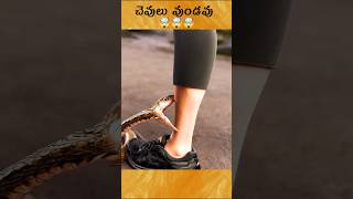 🤯Why Sankes are Dancing infront of Flute Music  telugu facts snake music [upl. by Atelra68]