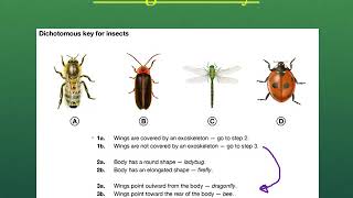 Unit 2 How to Use a Dichotomous Key [upl. by Hannahc]