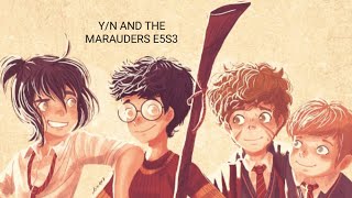 Yn and the Marauders E5S3 Hogwarts POVs [upl. by Ielarol]