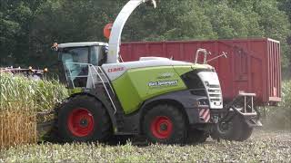 Sprangers mais hakselen 2020 1 Claas Jaguar 960 [upl. by Akinak]