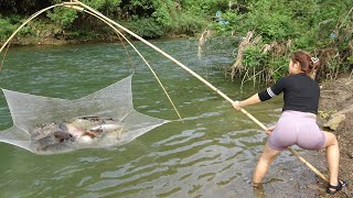 Great Fishing Techniques  Traditional Fishing with Bamboo and Fishing Net  Catch a Lot of Fish [upl. by Barrow]