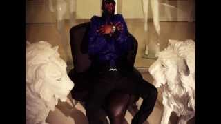 Fally Ipupa  Nyokalessé Clip Officiel [upl. by Osborne]