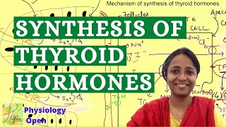 Thyroid hormone synthesis physiology  Endocrine system physiology mbbs 1st year lecture [upl. by Joli]